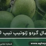 خرید انواع نهال در آذربایجان