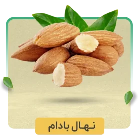 نهال بادام