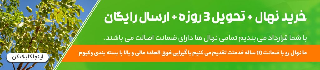 بنر جشنواره