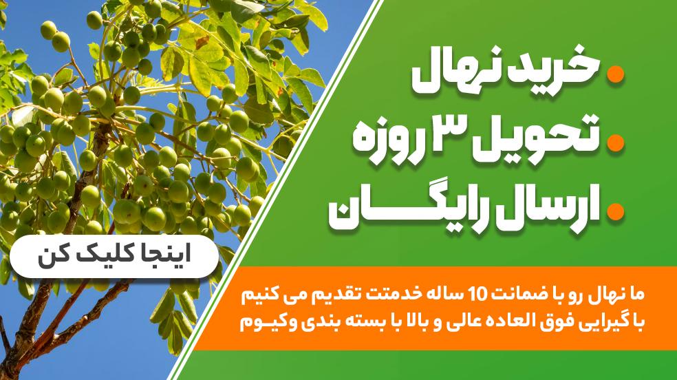 بنر جشنواره موبایل